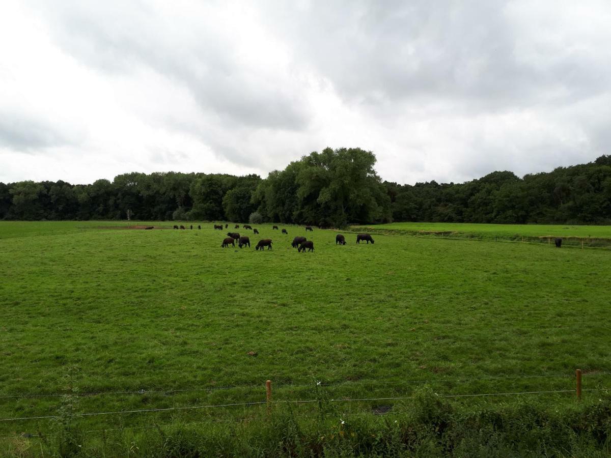 Gastenverblijf 'T Nagtegaeltje Sint-Oedenrode Extérieur photo